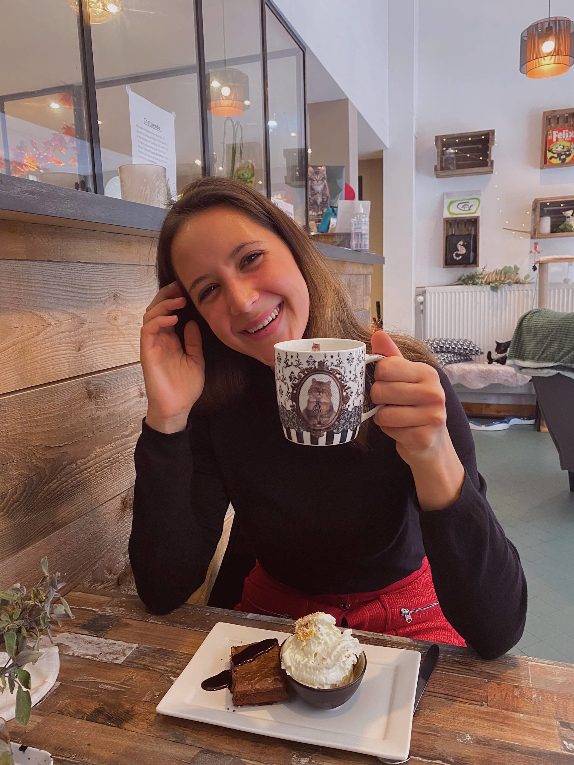 carolocat-mycharleroi-min