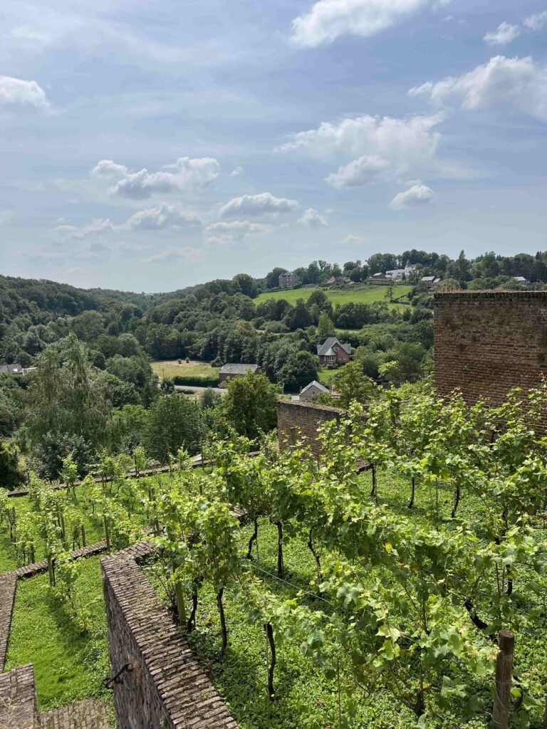 thuin_mycharleroi_jardins_suspendus_vins_zouaves