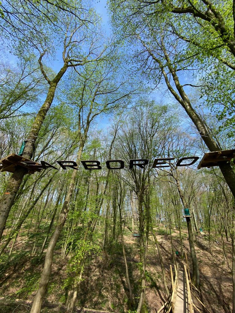 aboreo_amelie_mycharleroi